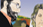 miniatura_vineta 6